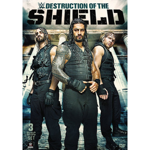 Wwe-Destruction of the Shield