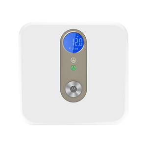 Smart Nursery Baby & Me Scale