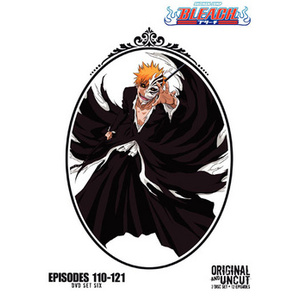 Bleach Box Set 6