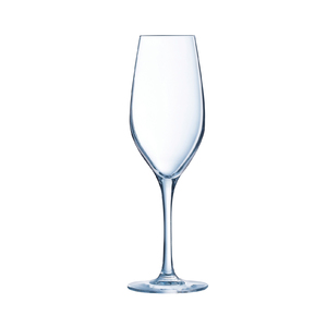 Domaine Flute 9.75oz Champagne Glasses Set of 6